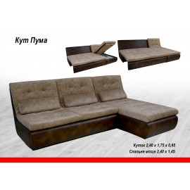 Куток ПУМА